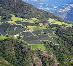 Blick aus der Seilbahn auf die Hänge des Ritten