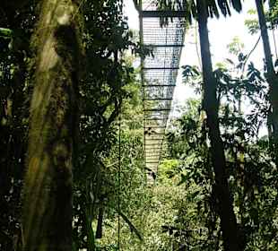 Hängebrücke, Vulkan Arenal