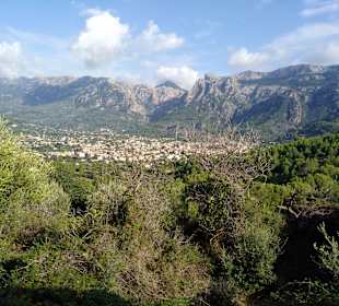 Zug Tren de Sóller 'Roter Blitz'