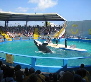 Miami Seaquarium