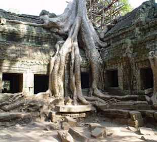 Tempel Ta Prohm