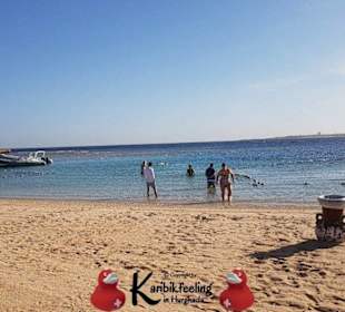 Schnorchelausflug nach Sharm El Naga 15.11.17