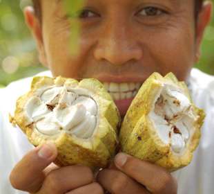 Martin im Gewürzegarten