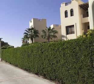 Stadtrundgang El Gouna