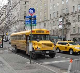 Charakterystyczne zółte autobusy szkolne