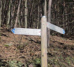 Weg zur Burg Neuscharfeneck