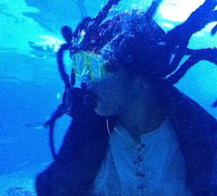 Ausflug Röhren Aquarium