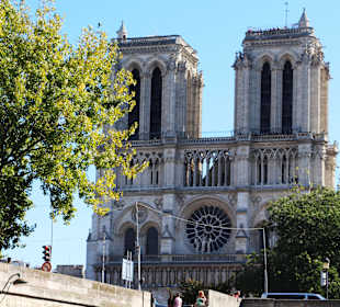 Katedra Notre Dame