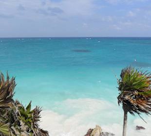 Traumhafter Ausblick