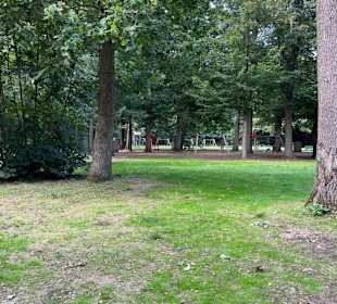 Steinerbos Belevenispark