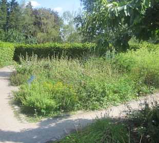 Kurpark Bad Bergzabern