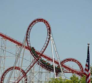 Viper - sieben mal geschlängelt