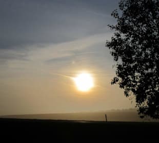Sonnenaufgang am Wildpark
