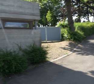 Friedhof Wendelsheim