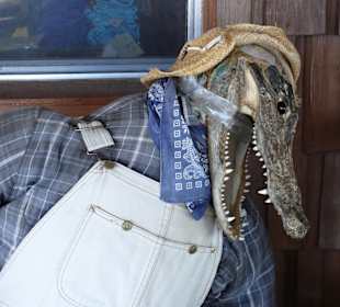 Ein toter Alligator als Werbebotschaft