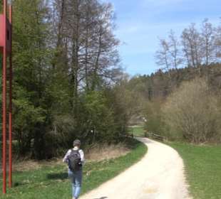 Sculptoura Woodwatcher