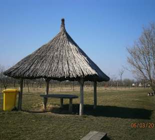 In the summer you will the shade