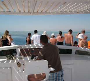 Ausschau nach unseren Freunden halten