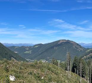 Ausblick