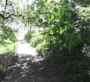 Hohenloher Freilandmuseum