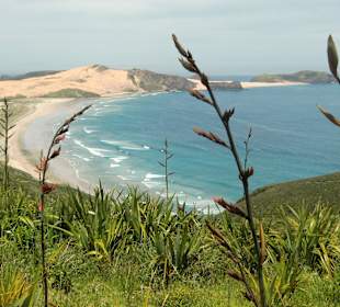 Blick auf den 90 Mile Beach
