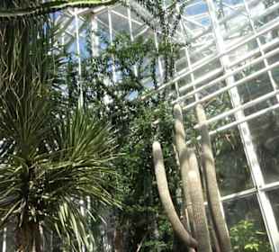 Gewächshäuser Botanischer Garten