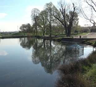 Unterer Schlossgarten Stuttgart