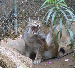 Der wollte nicht aufs Foto