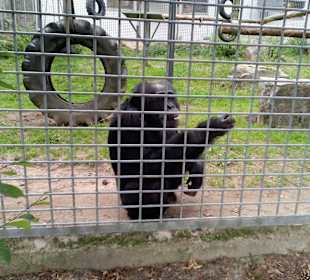 Schwabenpark in Welzheim