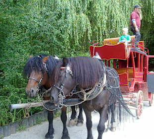 Freizeitpark Schloss Thurn