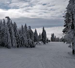 Wandern Aigen-Schlägl