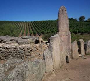 Jahrtausende überstanden