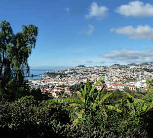 Blick über Funchal