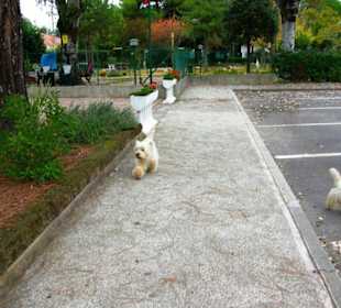 Lido dei Pini in Bibione