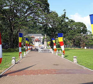 Hochland von Sri Lanka