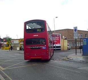 Bus
