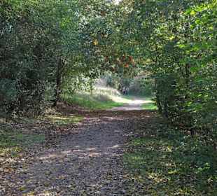 Rundgang um den Drielaker See