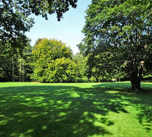 Rundgang durch den Park Forstbaumschule