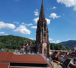Blick auf das Münster 