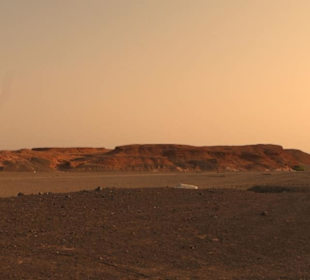 BBQ Dinner - Nighttour powerd by  E-Motion