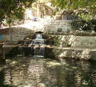 Wasser zum Forellenteich