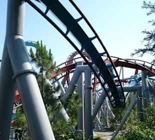 Dueling Dragons Achterbahn  bitte beide fahren 