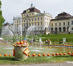 BlüBa mit Residenzschloß Ludwigsburg