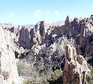 Valle de la Luna