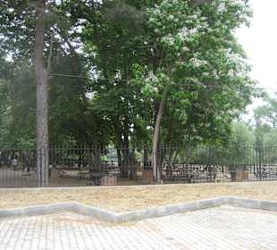 Ausflug Green Canyon