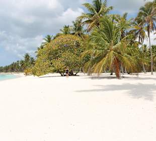 Saona