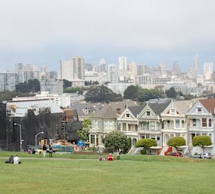 Painted Ladies