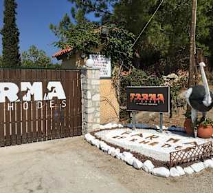 Farma of Rhodes
