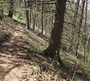 Wanderweg Hochgehkämpft