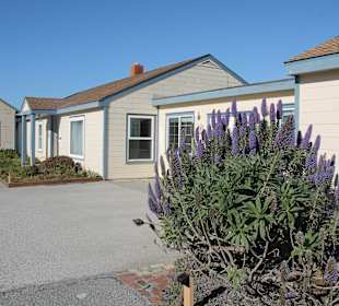 Pigeon Point Lighthouse